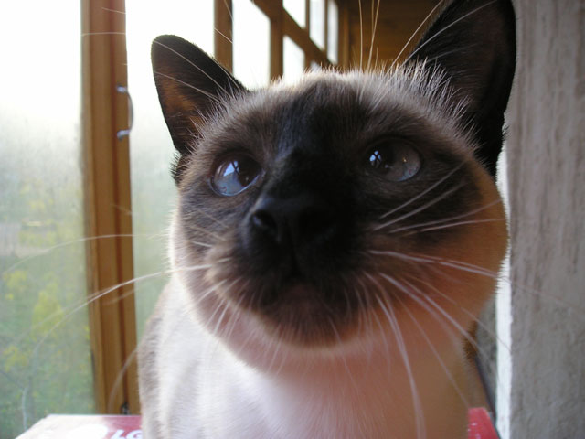 Eyes Upwards 
© My wife Yulia