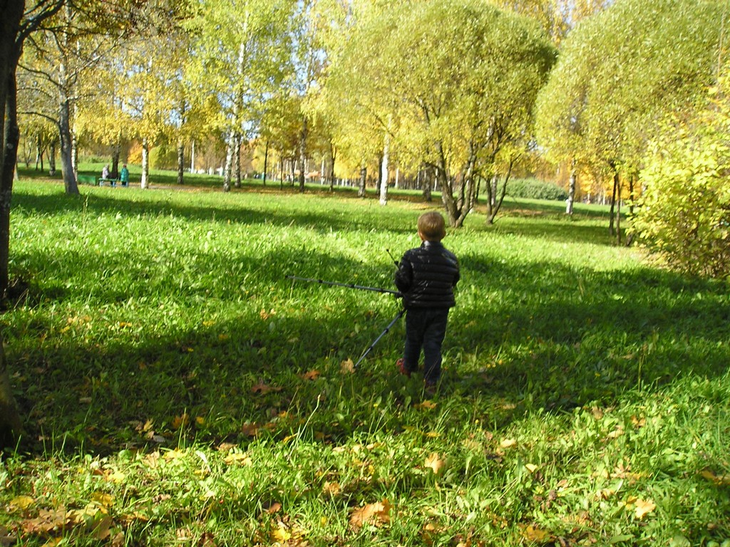 Ушёл в осень