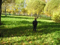 Ушёл в осень
