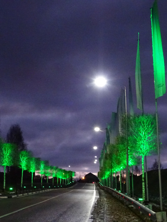 Green Alley