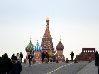 Вырастая из земли…