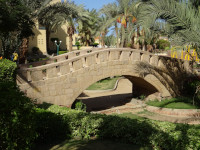 Humpback Bridge in the Egyptian Oasis