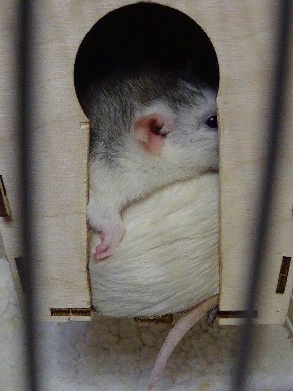 It Is Warmer Together
