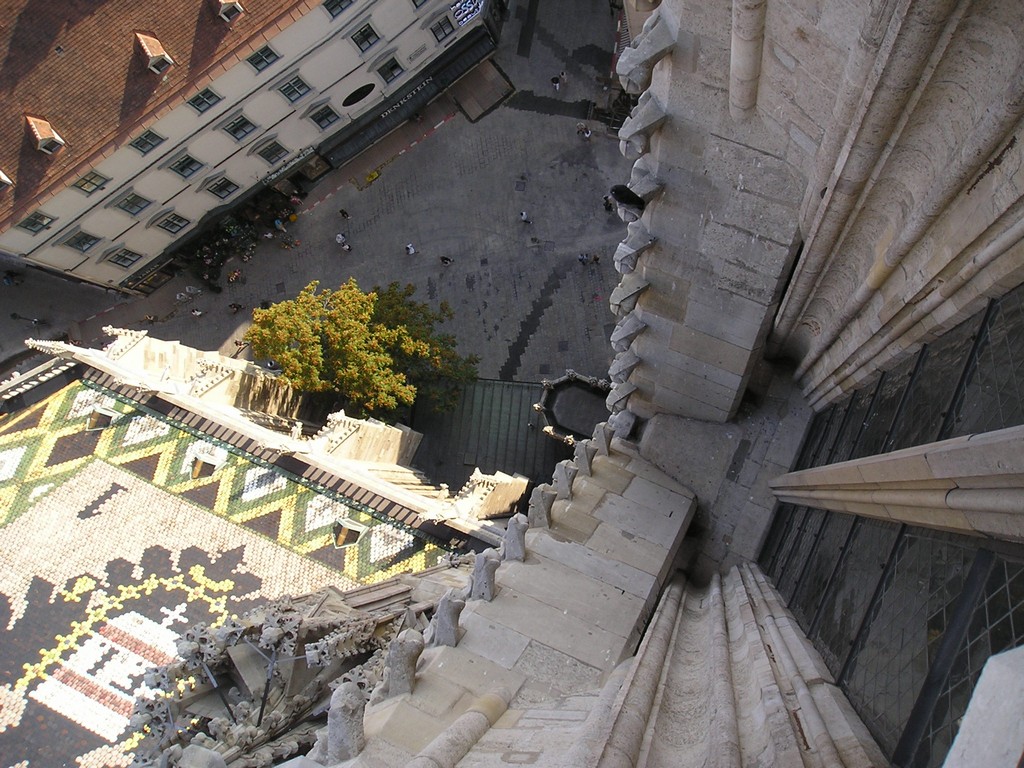 Jaws of the Cathedral for Sinners Beneath
