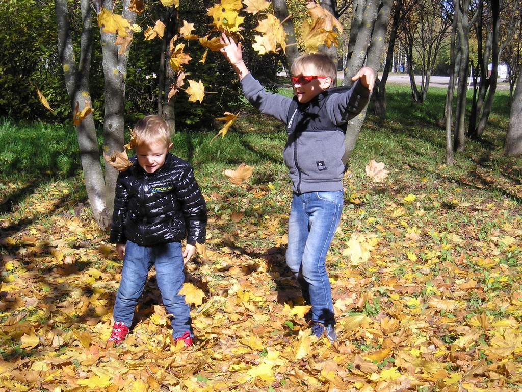 Let the Leaf Fall Stop!