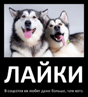 Лайки