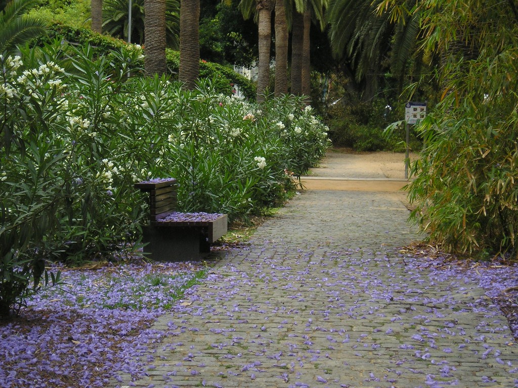 Lilac Alley