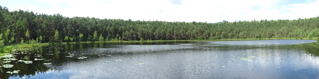 Moon Lake Panorama