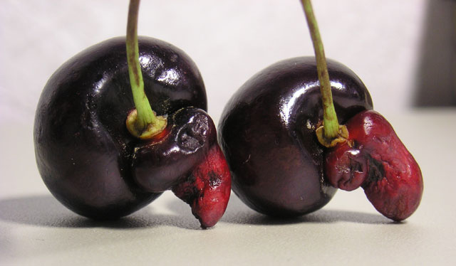 Mutant Cherries