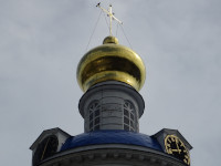 Не angry, а holy bird