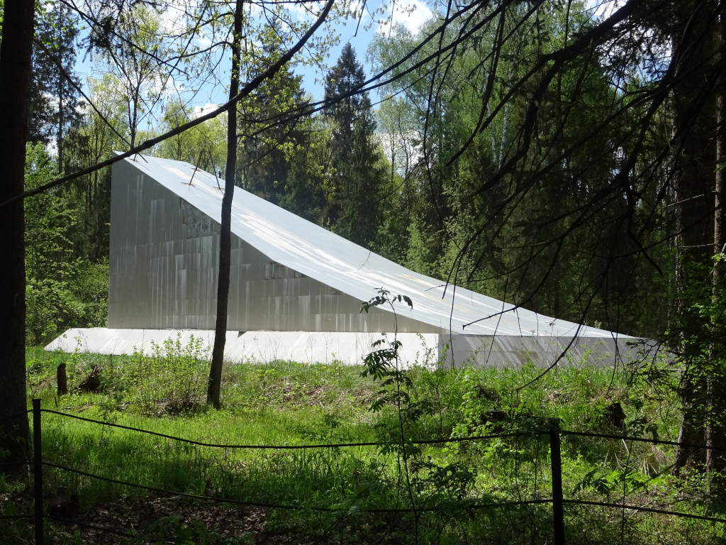 Not-Ski Not-Trampoline in a Forest