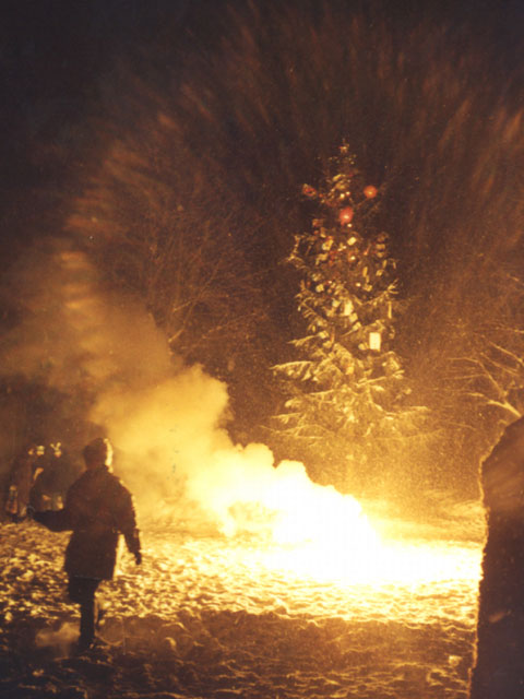 New Year Fireworks