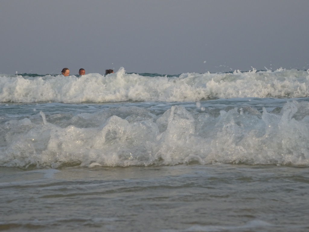 People Behind Wave Fences