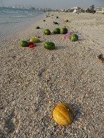 Persian Gulf's Gifts