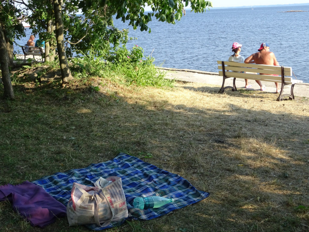 Picnic on Kotlin Island