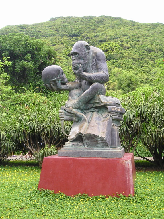 Poor Darwin…