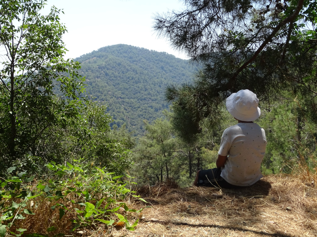 Poundic on Vacation in Mountains