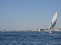 Sailing Regatta on the Blue Nile