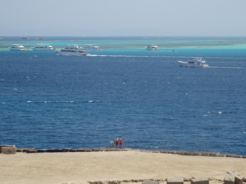 Searching for Their Yacht