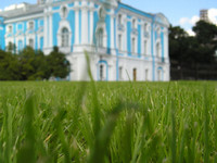 Смольный в фокусе