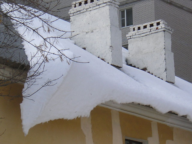 Snow Tongue