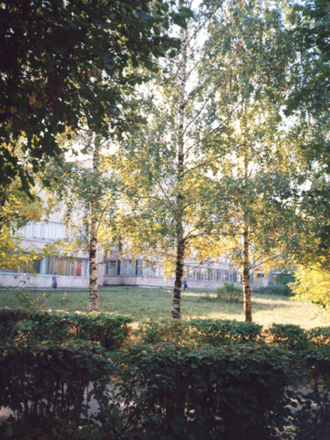ВлГУ осенью