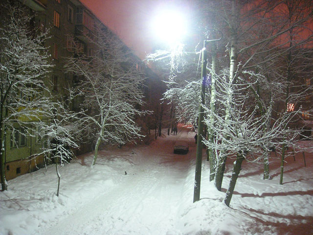 Winter Night
