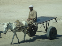 Workers of Egypt