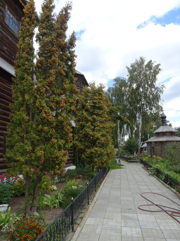 Двор Свято-Троицкого женского монастыря