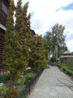 Yard of the Holy Trinity Female Monastery