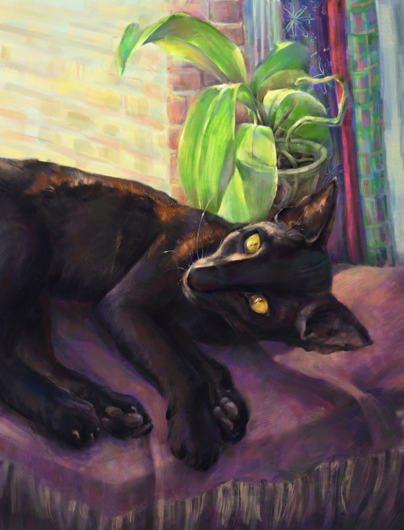 Cat on a Windowsill