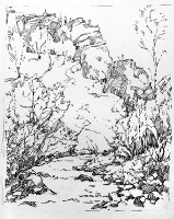 Narzan Valley 
(paper, pen)
