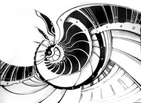 Perpetuum Mobile 
(paper, ink)