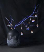 Second Life of Sochi Acorns
