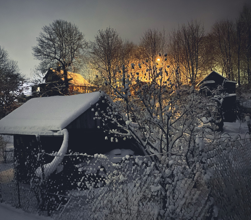 Snowy Night
