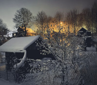 Snowy Night