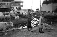 Дети и война (1)