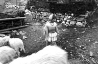 Дети и война (2)