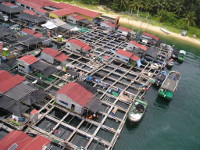 Chinese Fishing Village