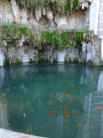 Цветные рыбки в колоритном фонтане