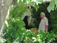 Диалог пожилых киприотов