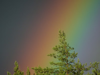 Rainbow Closeup