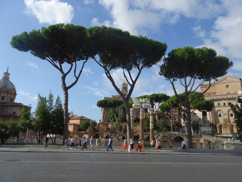 Рим под зонтиками