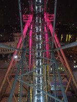 “Sky-33” Ferris Wheel at Night