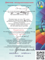 Aeronaut diploma with naming the Count of Suzdal