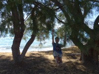 2019.06.04 When a swing is hung among coastal trees with such a landscape (of the Aegean Sea) in the background you don't notice that the swing is crooked.