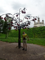 2022.06.05 In our Vladimir region (Russia), they like to talk about the mythical “Vladimir cherry”, but in the capital of the region there is a monument to only 2 cherries, while in the district center Yuriev-Polsky there is a whole tree! 😋