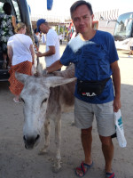 2022.08.21 With a friendly donkey beggar at the stop of our tour bus on the way from Hurghada to Luxor (Egypt).