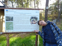 I am wriggling only to match the trees of the Dancing Forest of the Curonian Spit. 🤪