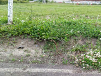 Натуральное футбольное поле школы № 36